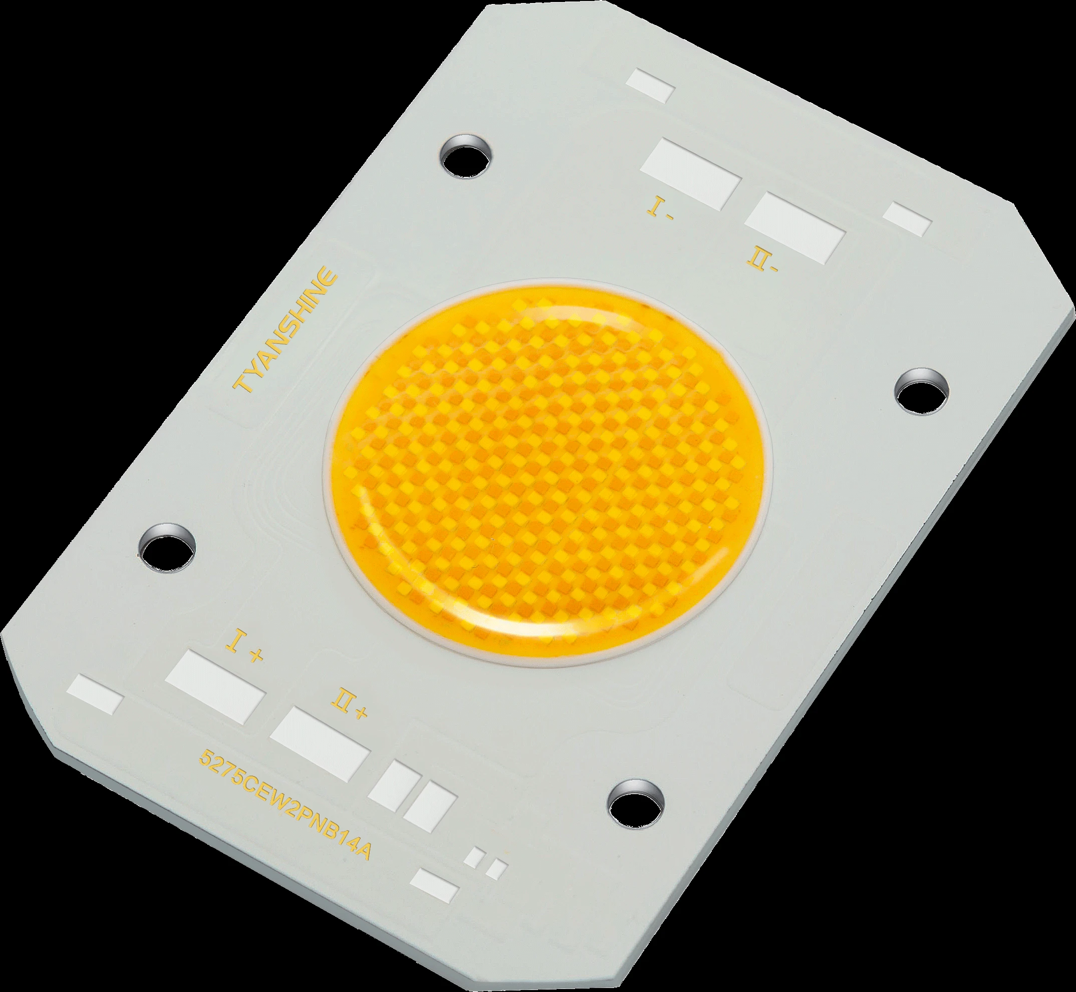 TW COB 52500SW